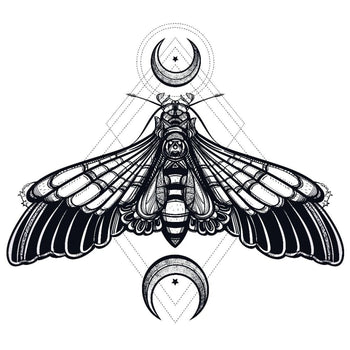 Abstract Moth - Temporary Tattoo