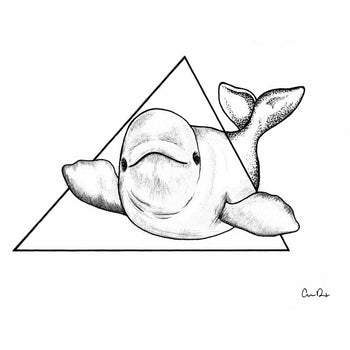 Beluga Triangle - By Carrie Dotson - Temporary Tattoo