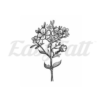 Botanical - By Mhairi Stella - Temporary Tattoo