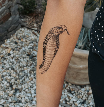 King Cobra - Temporary Tattoo