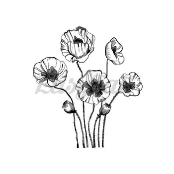 Poppies - By Mhairi Stella - Temporary Tattoo