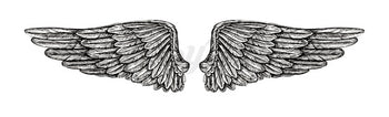 Wings - Temporary Tattoo