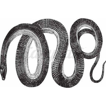 Wrapped Snake - Temporary Tattoo