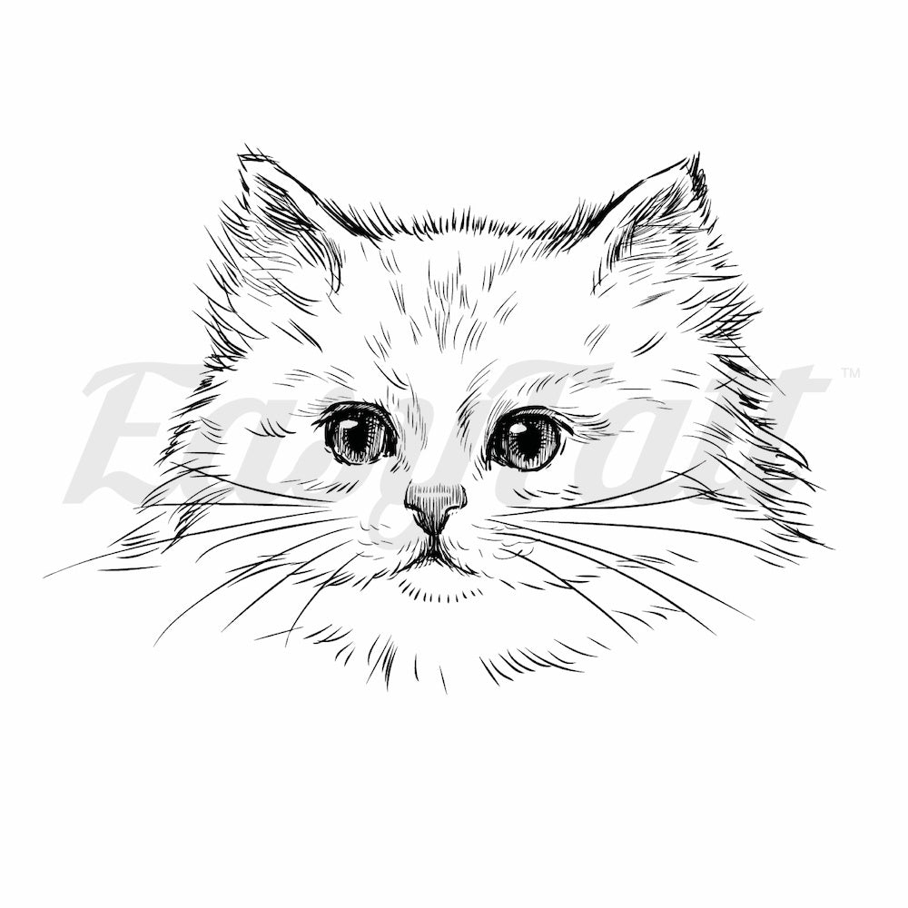 Cat Sketch - Temporary Tattoo