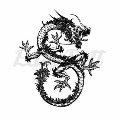 Defensive Dragon - Temporary Tattoos