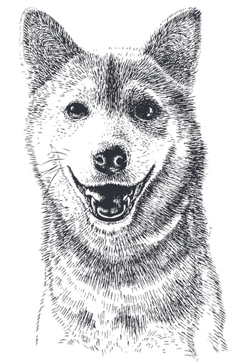 Kelpie - Temporary Tattoo