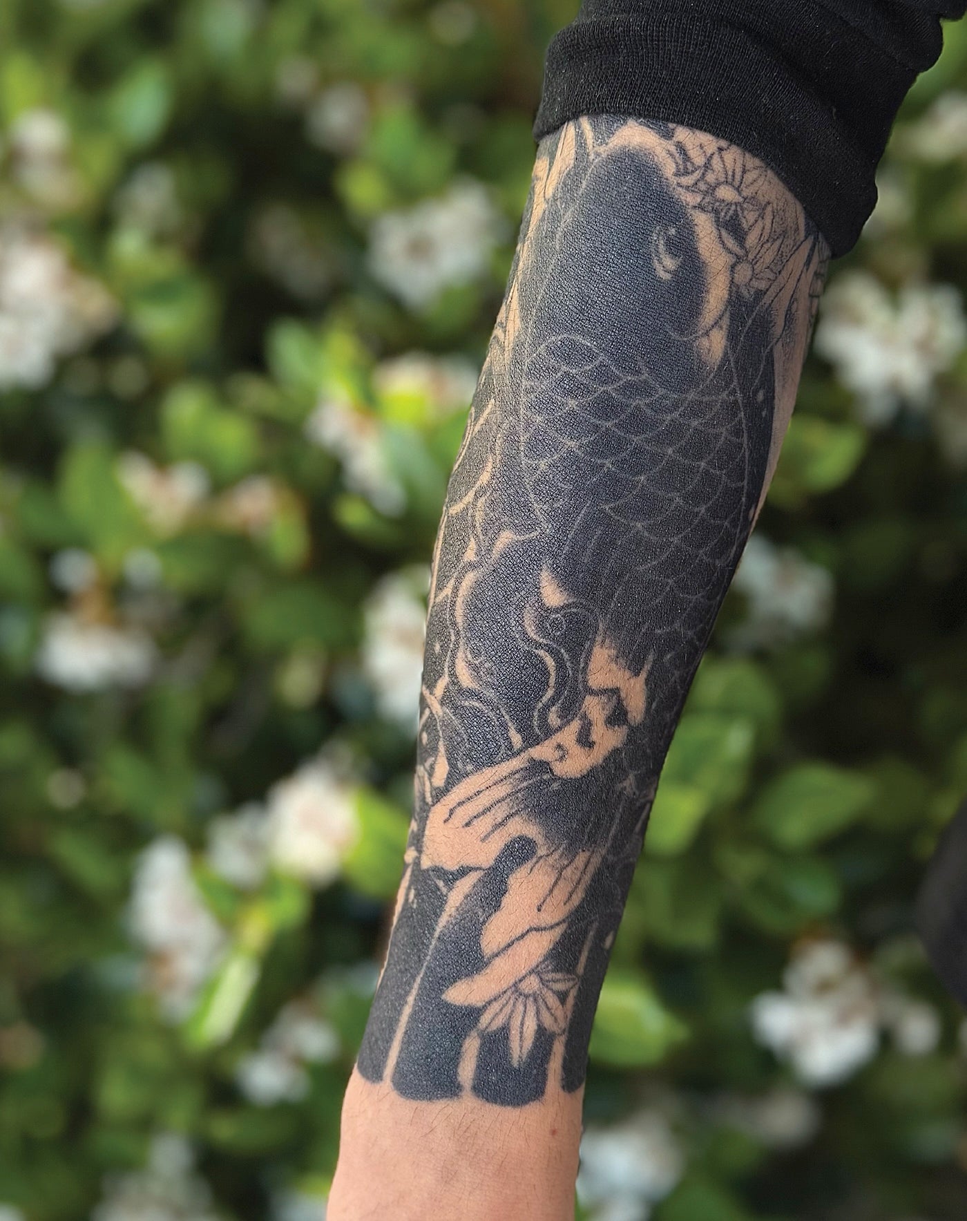 (Half Sleeve) Japanese Koi Fish - Semi-Permanent Tattoo