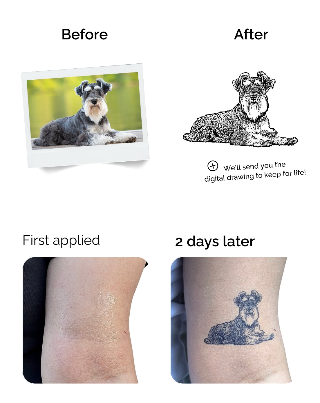 (NEW) InkPets™