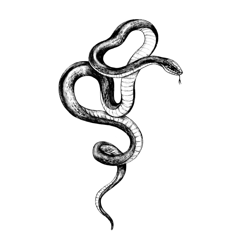 Primed Snake - Temporary Tattoo