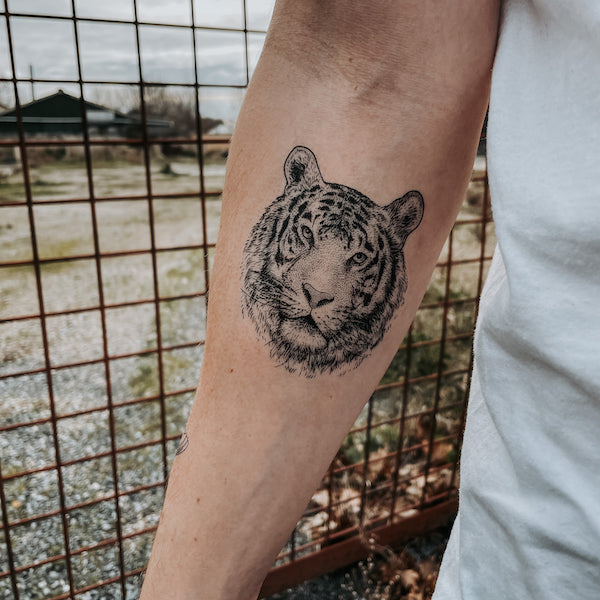 Tiger - Temporary Tattoo