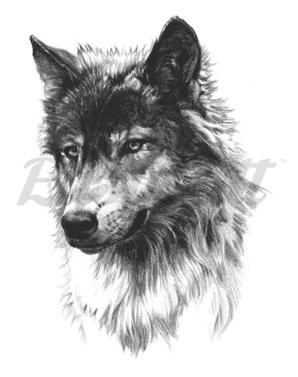 Wise Wolf