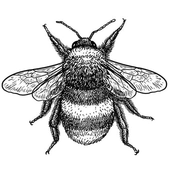 Blackwork Bee - Temporary Tattoo