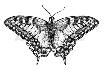 Blackwork Butterfly # 2 - Temporary Tattoo
