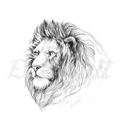 Male Lion - Temporary Tattoo