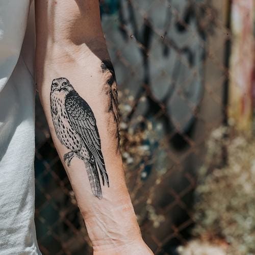 Eagle Claw Temporary Tattoo