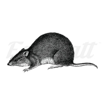 Sneaky Rat - Temporary Tattoo