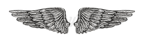 Wings - Temporary Tattoo