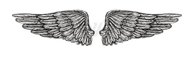 Wings - Temporary Tattoo