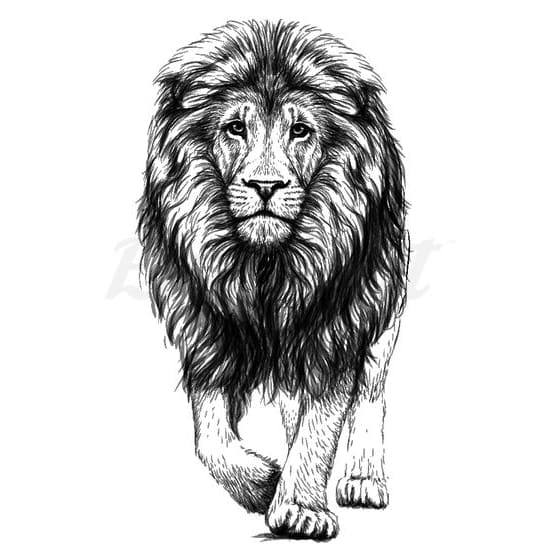 Walking Lion - Temporary Tattoo